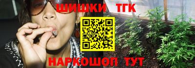 2c-b Камышлов