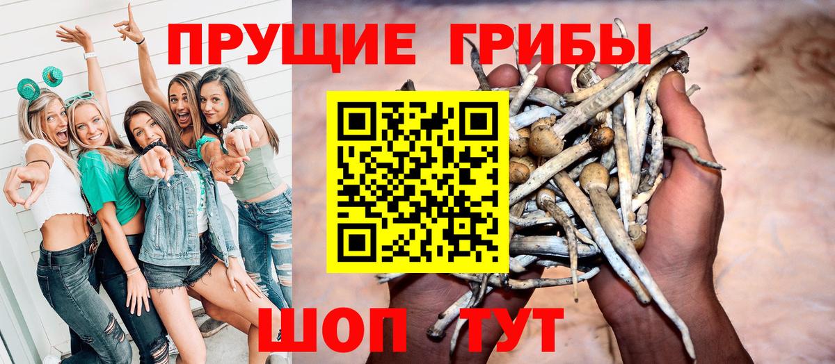 Псилоцибиновые грибы Cubensis Лабинск